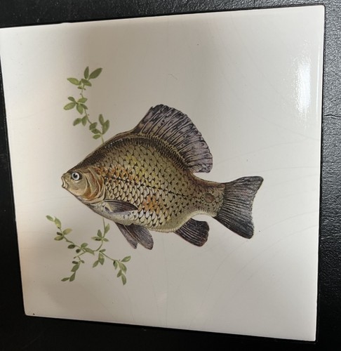 Richard ginori crucian carpa - ginori,